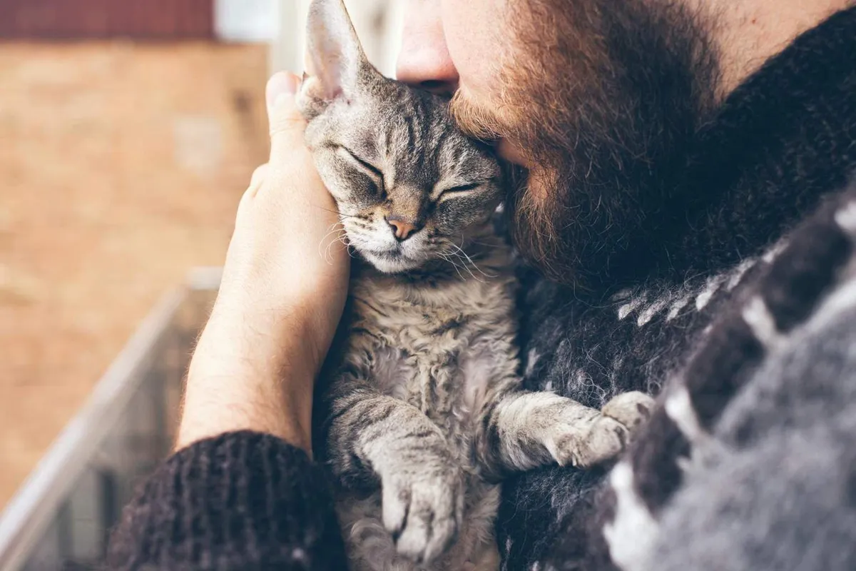 De verborgen taal van katten: onze band gaat dieper dan je denkt
